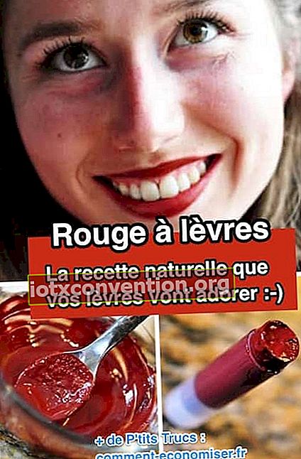 hausgemachte kosmetische Rezept DIY roten Ton Lippenstift