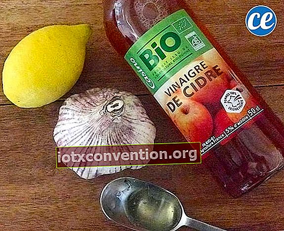 น้ำผึ้งมะนาวกระเทียมและน้ำส้มสายชูแอปเปิ้ลไซเดอร์เป็นส่วนผสมในการรักษาโรคหวัด