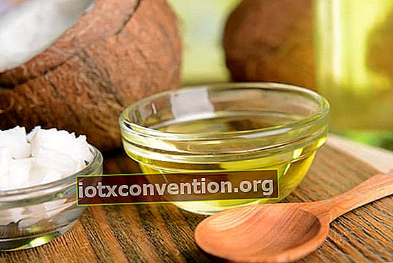 Madu dan minyak kelapa merupakan bahan utama pembuatan tapal obat batuk