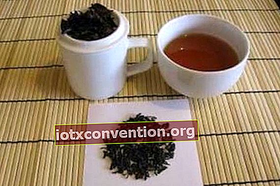 i benefici per la salute del tè nero