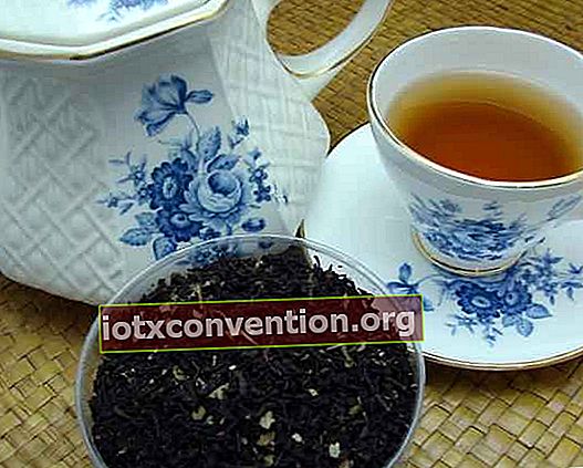 Eine Tasse schwarzen Tee zu trinken ist gut für dich