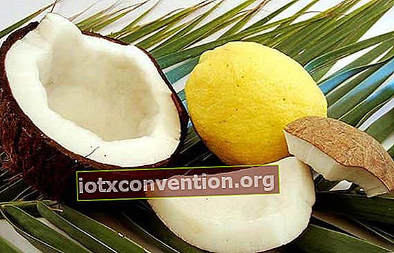 Kokosöl und Zitrone, um das Haar zu glätten