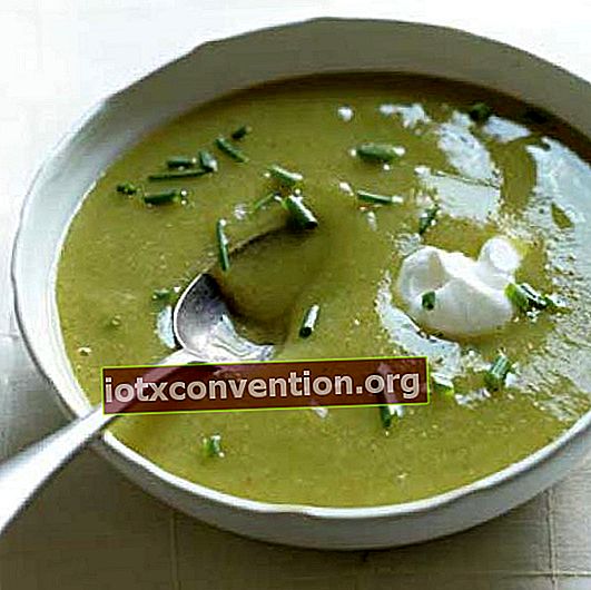 resipi sup daun bawang