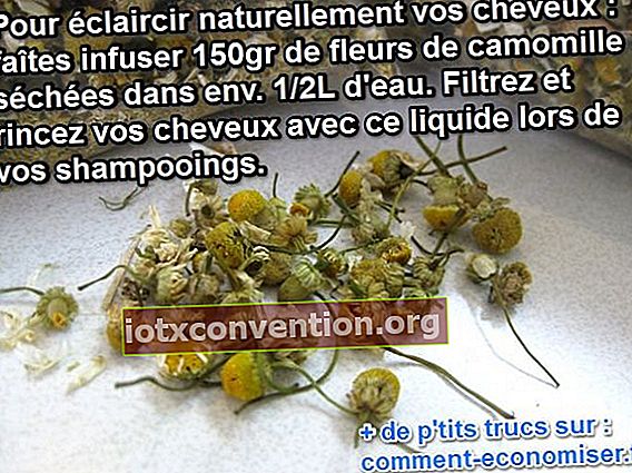 chamomile mencerahkan rambut secara alami