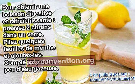 bevanda alla menta e limone per una buona digestione