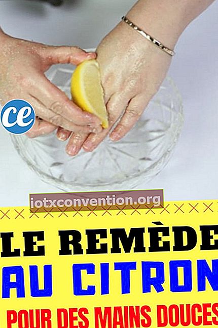 Großmutters Mittel gegen weiche Hände mit Zitrone