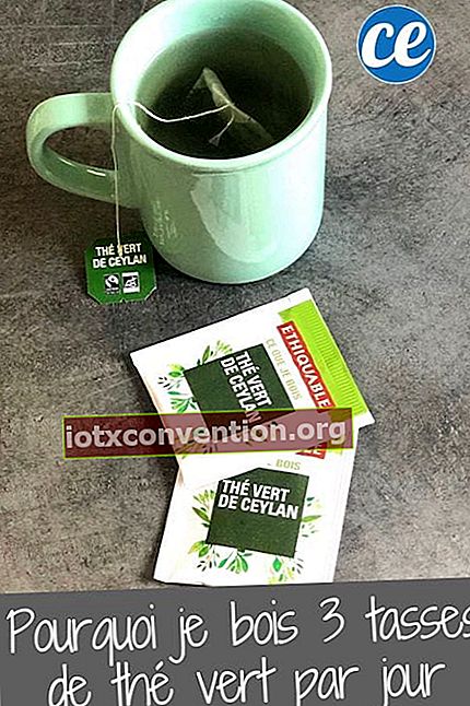 Eine Tasse grüner Tee und zwei Beutel grüner Tee