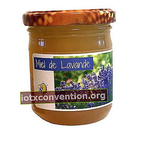 Madu lavender alami Prancis