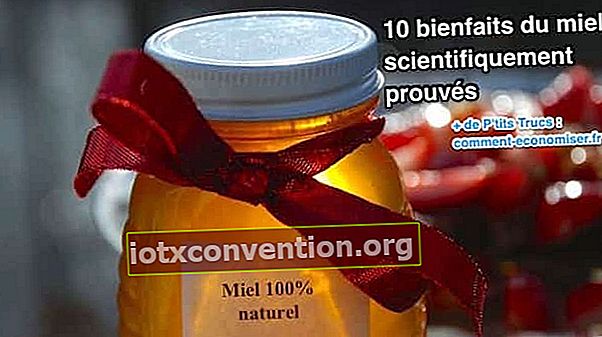 Was sagen Studien über die Vorteile von Honig?