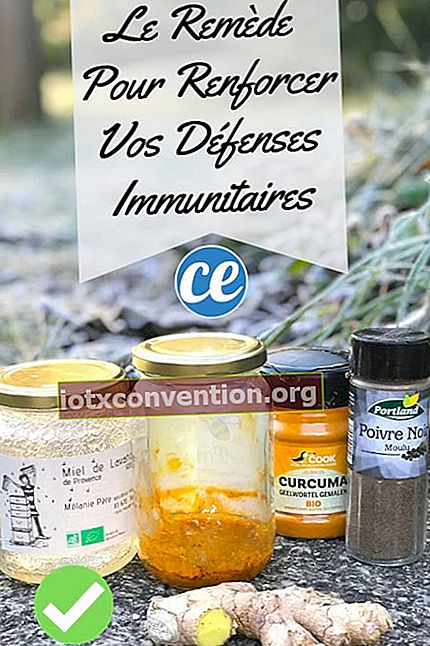 Das Rezept für einen natürlichen Stärkungsmittel zur Stärkung Ihres Immunsystems im Winter