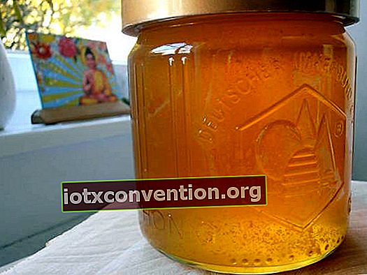 น้ำผึ้งสามารถใช้เป็นแชมพูได้