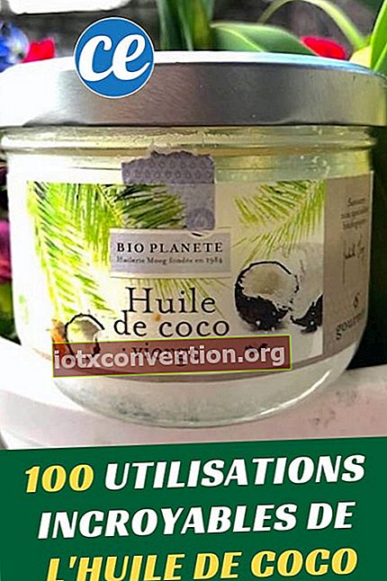 100 incredibili usi dell'olio di cocco per la salute, la bellezza e la casa