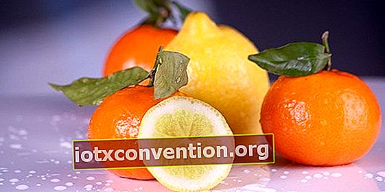 Apa manfaat vitamin C yang terbukti secara ilmiah?