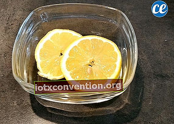 citronskivor i en glasskål