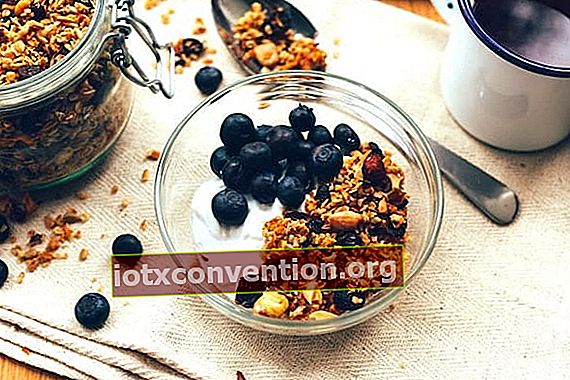 Semangkuk oatmeal dengan blueberry dan yogurt.