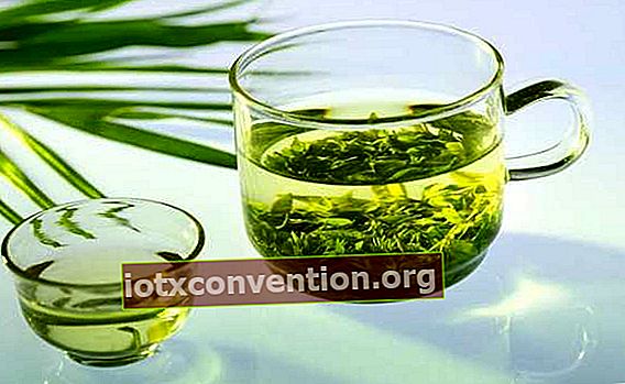 Omas Heilmittel: grüner Tee gegen Husten