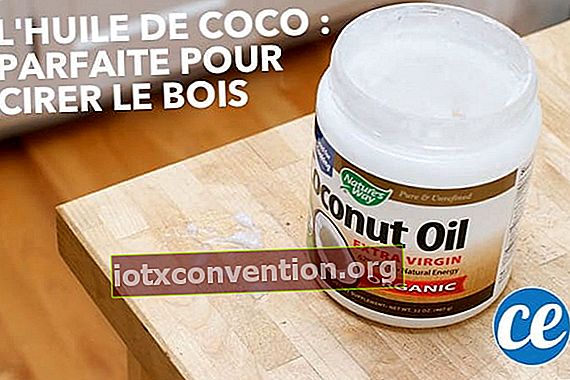 L'olio di cocco è il sostituto perfetto della cera di legno.