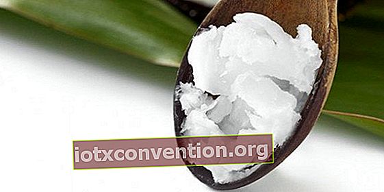 Apakah minyak kelapa bermanfaat untuk melawan sariawan?