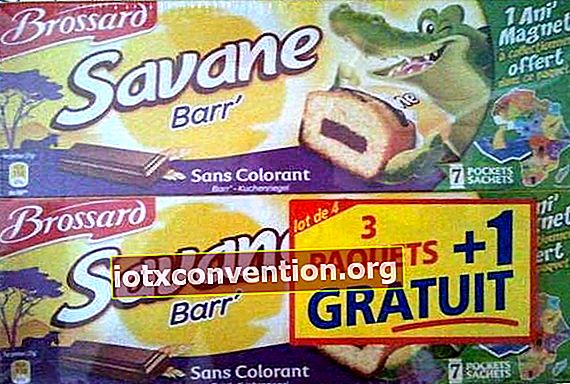 pacchetti di torte della savana Brossard