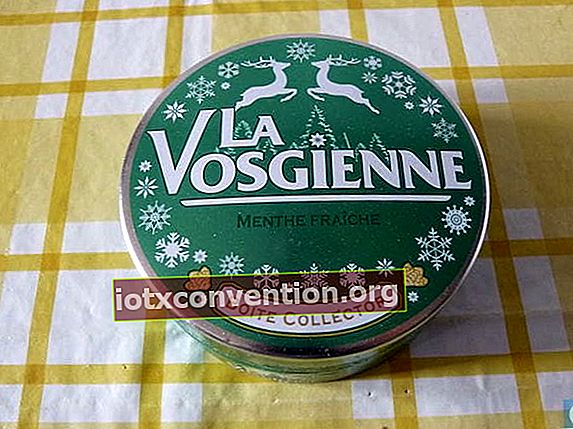 Kotak kolektor La Vosgiene
