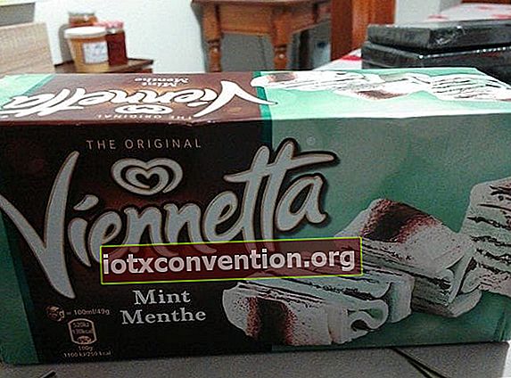 viennetta 민트 초콜릿 아이스크림 한 패킷