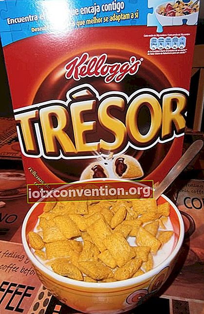 Kellogs Treasure Cereal