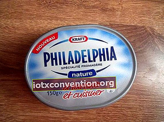 Scatola specialità formaggio Philadelphia
