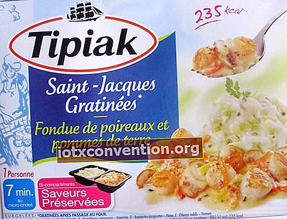 Tipiak zubereitetes Gericht mit Saint Jacques