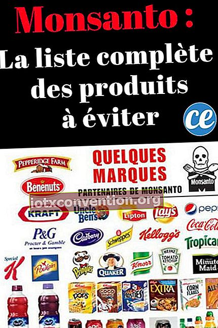 Marchi che collaborano con Monsanto per il boicottaggio