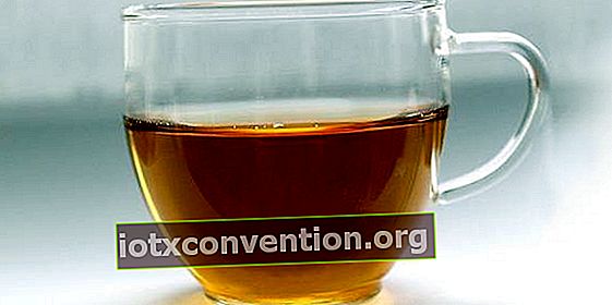 il tè alla salvia aiuta a migliorare il metabolismo