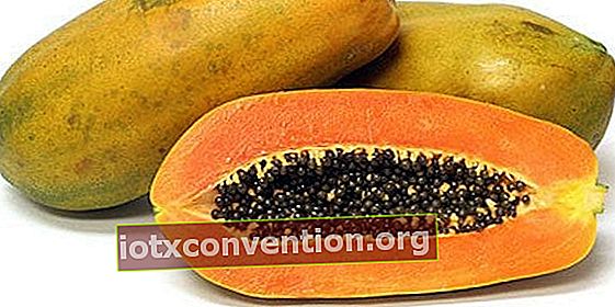 Wussten Sie, dass Papaya den Stoffwechsel steigern kann?