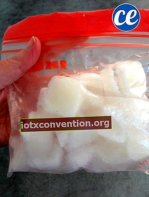 i cubetti di ghiaccio di aloe vera sono in un sacchetto di plastica che si chiude