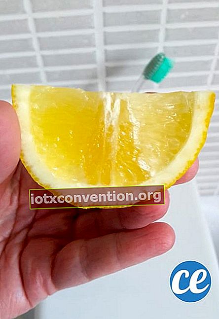 en fjärdedel av en citron för att bleka tänderna