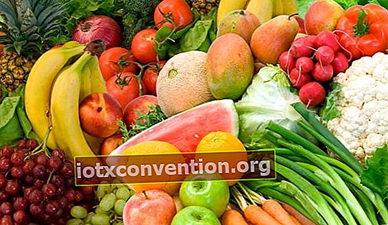 Obst und Gemüse der Saison sind gut gegen Cholesterin