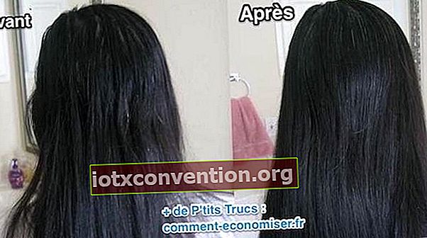 Shampoo zur Pflege von trockenem und strapaziertem Haar