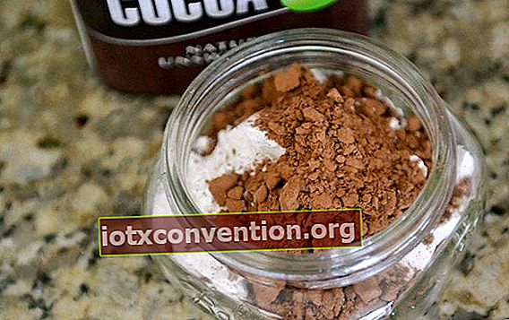Kakaopulver in den Behälter geben