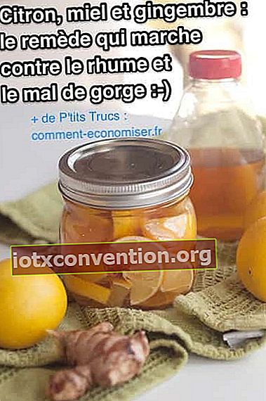 Citron, honung och ingefära macerate i en burk