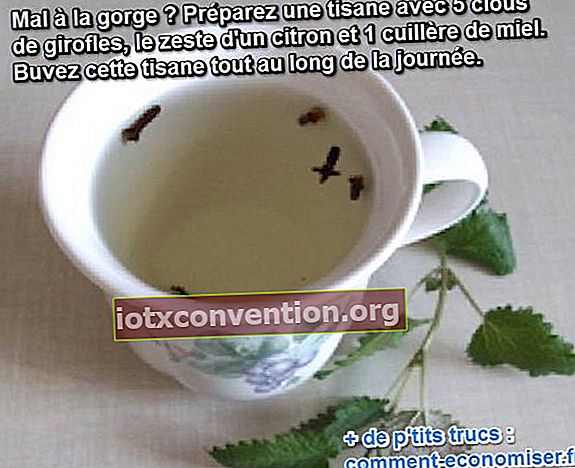 Secawan teh herba dengan cengkih di dalamnya