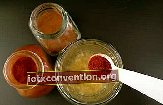 un cucchiaino di peperoncino nel miele per fare un rimedio contro la tosse