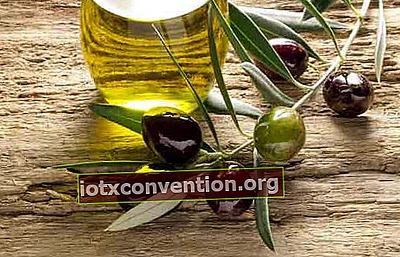 olio d'oliva per nutrire la pelle che invecchia