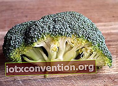 Grön broccoli är bra för dig