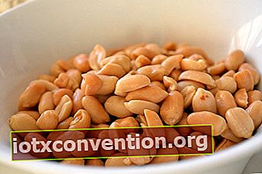 Makan kacang karena baik untuk tubuh Anda