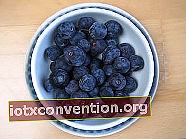 Blueberry bagus untuk kesehatan Anda
