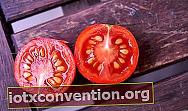 Tomat sangat bagus untuk kesehatan Anda