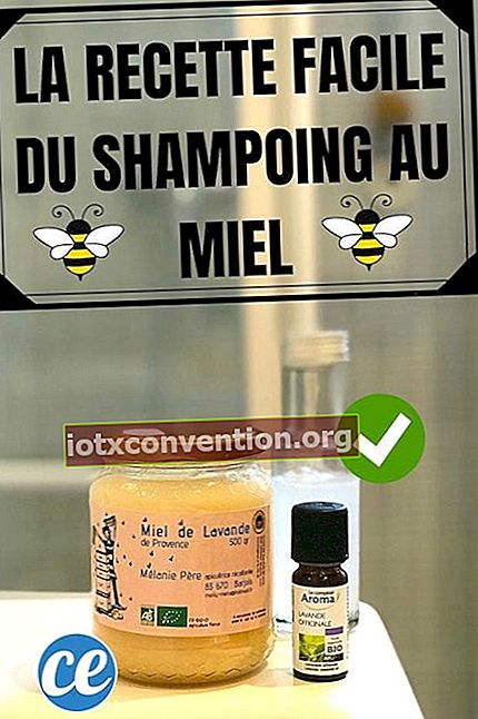 ricetta shampoo al miele fatto in casa