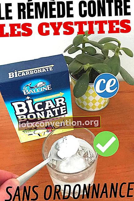 Il rimedio naturale per curare la cistite con il bicarbonato di sodio