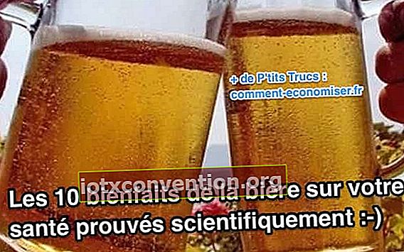 Berikut 10 bukti ilmiah bahwa minum bir baik untuk kesehatan!