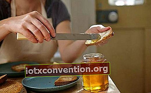 makan lebih banyak madu untuk menyelamatkan lebah