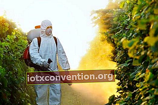 ミツバチに対して殺虫剤を使用しないでください