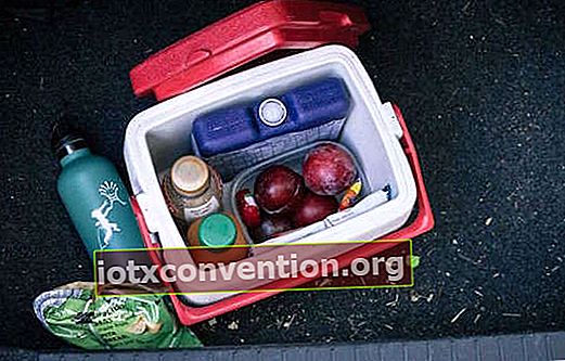 Mengapa anda perlu menyembunyikan makanan ringan di dalam kereta anda semasa pergi berkhemah?